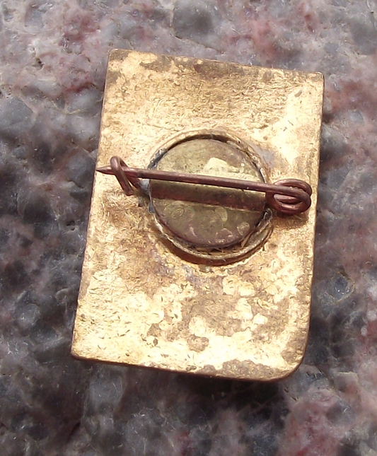 Vintage Soviet Union Civil Defense Worker Air Raid Warden Hammer Sickle Pin Badge