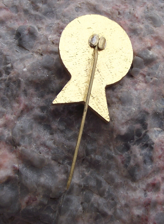 Vintage North Korea Archery Association Shooting Target Arrow Pin Badge