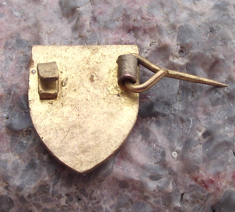 Vintage Strathclyde University Scotland Coat of Arms Crest Pin Badge
