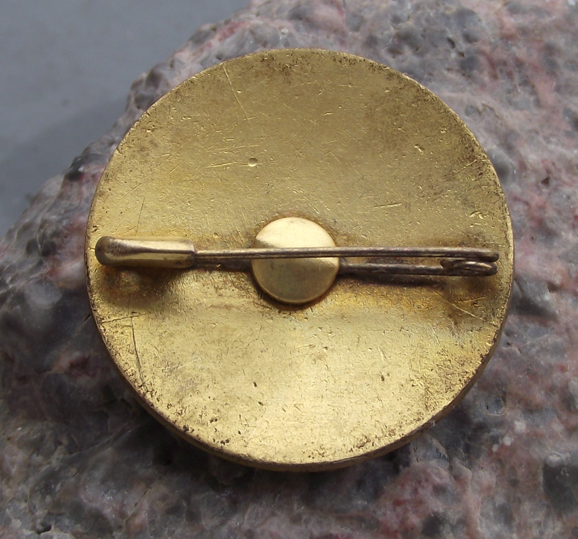 1968 ICID 19th Executive Council Meeting Cairo Egypt Water Irrigation Pin Badge