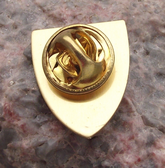 Coat of Arms Vatican City Vaticano Shield Pin Badge