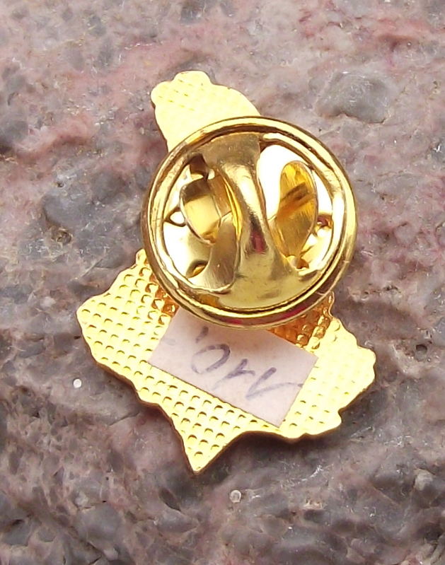 Vintage Luxembourg National Flag Colours Map Outline Pin Badge