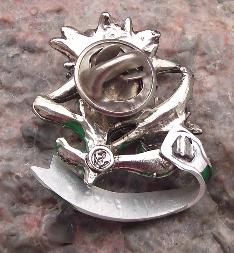 Vintage Austria Heiligenblut am Großglockner Edelweiss Flowers Pin Badge