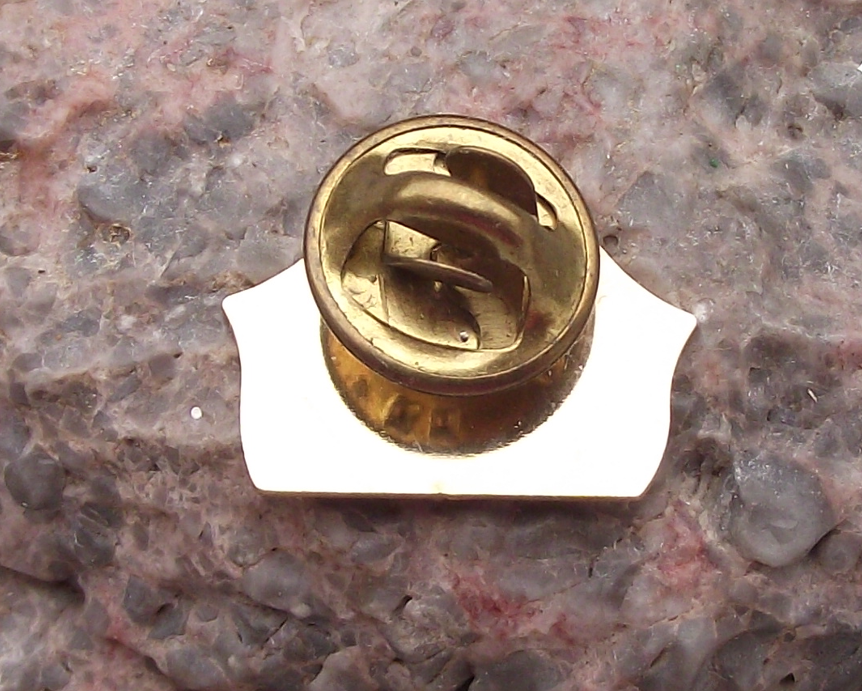 Vintage Coat of Arms Alberta Canada City Crest Crossed Flags Pin Badge