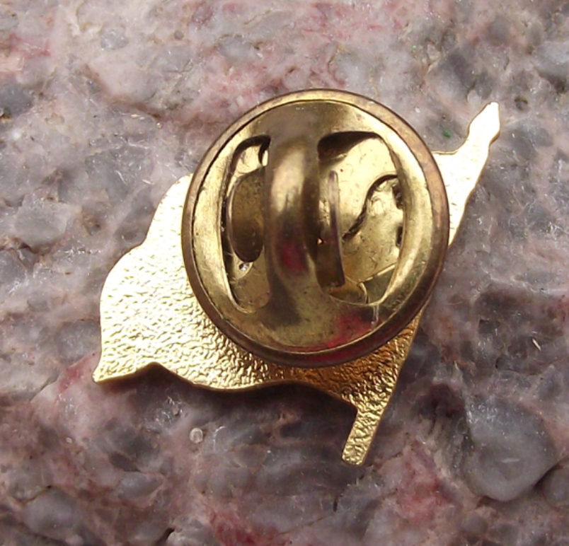 Vintage Official National Flag of Portugal Portuguese Pin Badge