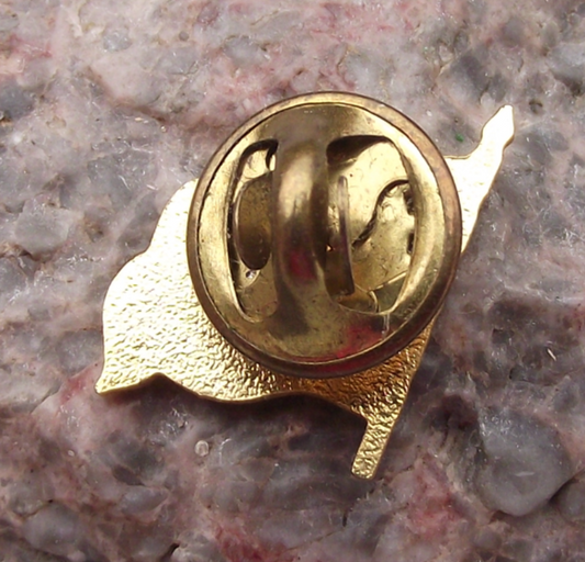Vintage Official National Flag of Portugal Portuguese Pin Badge