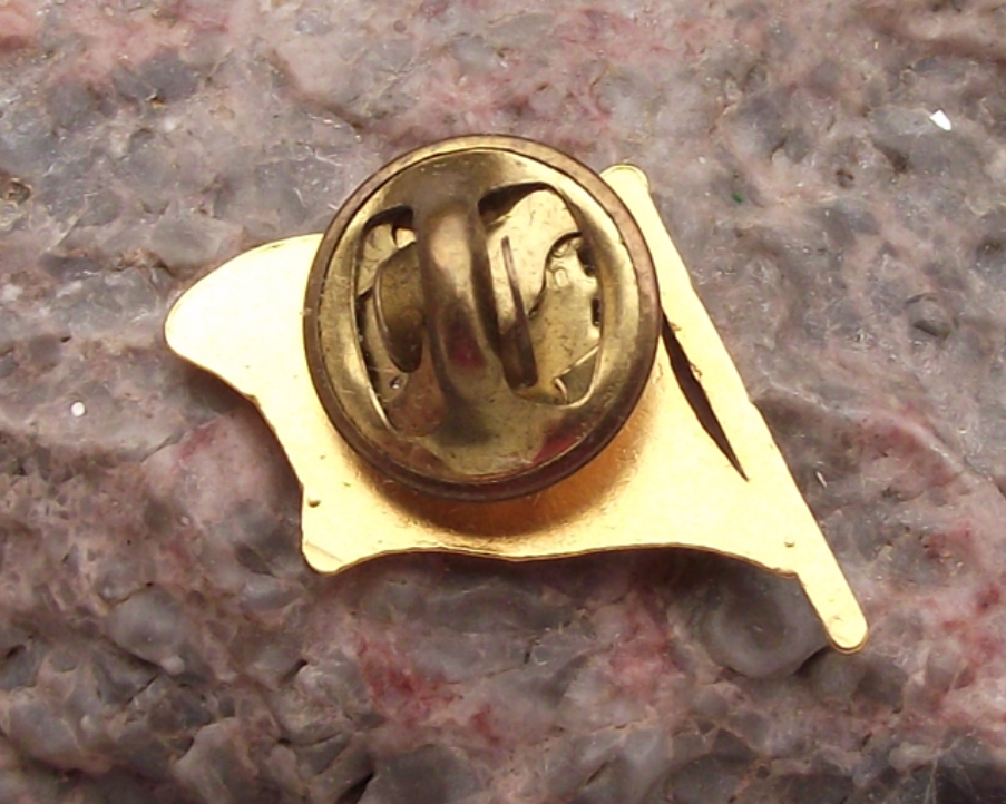 Vintage Official National Flag of Italy Italian Pin Badge