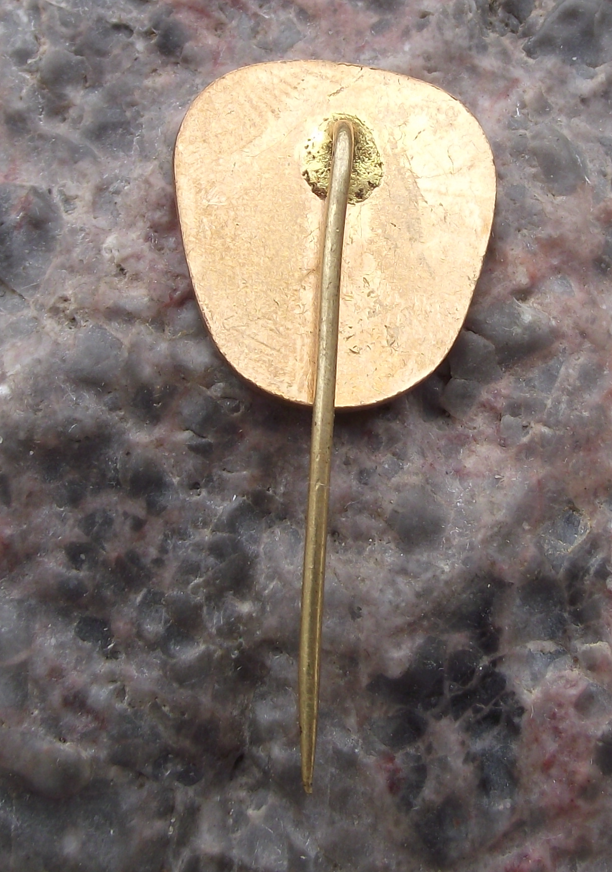 Vintage Ceske Budejovice CSAD Route 221 State Bus Coach Transport Pin Badge