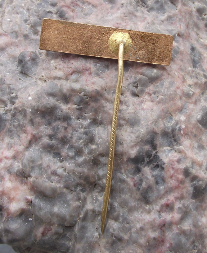 Vintage Czechoslovakia City of Brno CSAD Bus Mass Transport Company Pin Badge