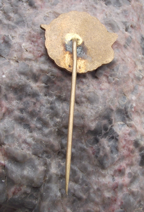 1969 City of Prague CSAD State Bus Coach Company 20th Anniversary Pin Badge