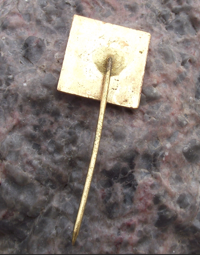 Vintage Czechoslovakia City of Brno CSAD State Bus Transport Company Pin Badge