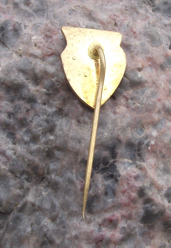 Vintage Benesov CSAD Czech Bus Coach Transport Advertising Pin Badge