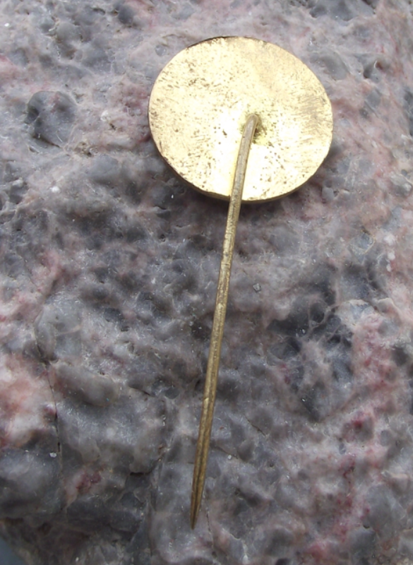 Vintage Vsetin CSAD Bus Coach Transport Firm City Sheep Motif Pin Badge