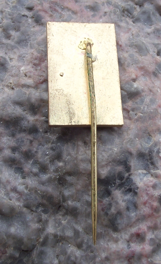 Vintage CSAD Decin Bus Coach Company Public Transport Pin Badge