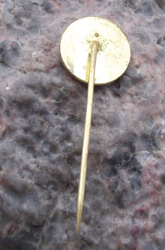 1979 Banska Bystrice Czechoslovakia CSAD Bus Coach Transport Firm Pin Badge