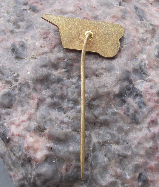 Vintage CSAD Prachatice Bus Coach Company Transport Pin Badge