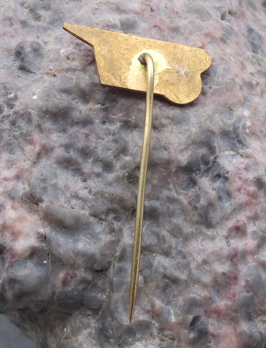 Vintage CSAD Hradec Kralove Route 501 Bus Coach Company Pin Badge