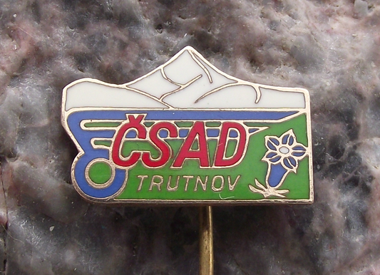 Vintage CSAD Trutnov Czech Buses Coaches Network Bus Company Pin Badge