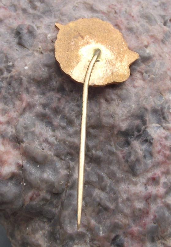 1969 CSAD Vyskov 20th Anniversary Czech State Bus Company Pin Badge