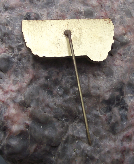 1989 CSAD Usti nad Labem Czech Bus Company 40th Anniversary Pin Badge