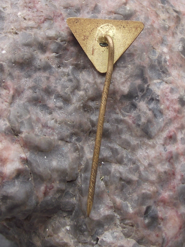 Vintage CSAD Prague Praha Czech Bus Company Triangle Pin Badge