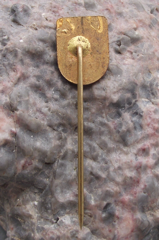 Vintage CSAD Susice Sumava Czech Transport Bus Company Pin Badge