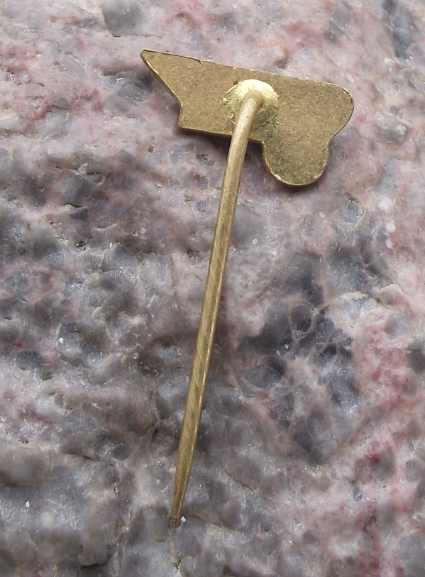 Vintage CSAD Teplice Czech Bus Company Route 10 Pin Badge