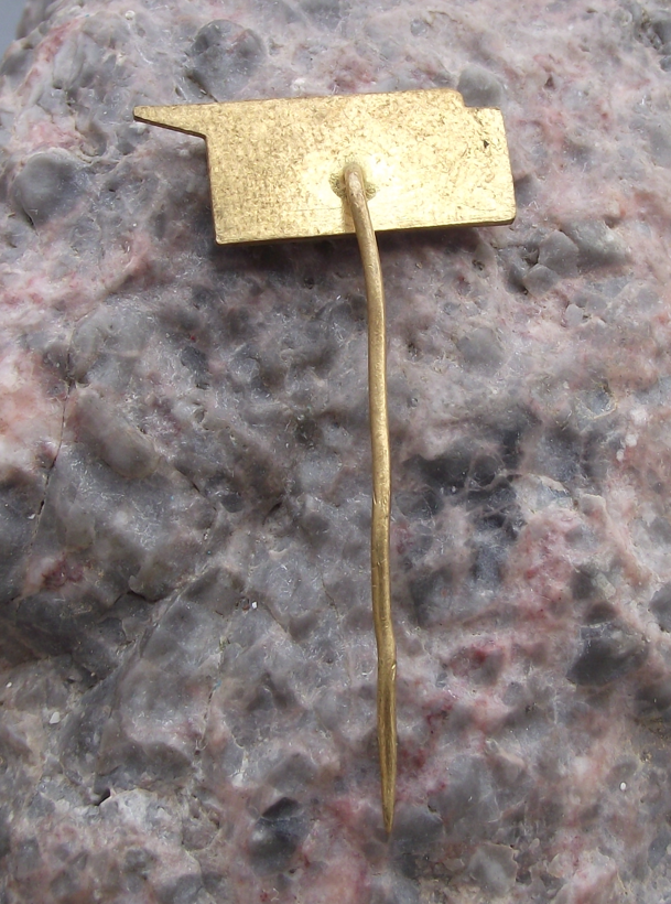 Vintage CSAD Liberec Czech Transport Bus Company Logo Pin Badge