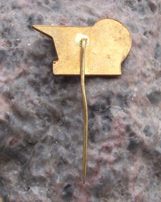 1974 CSAD Ceske Budejovice Bus Company 25th Anniversary Pin Badge