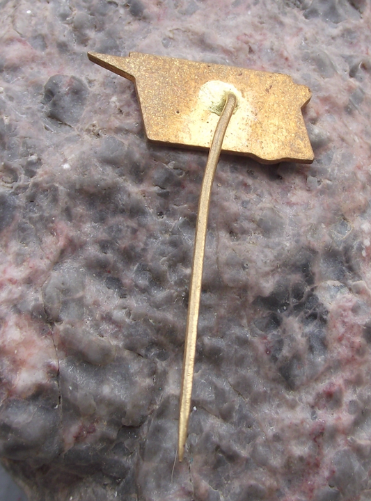 Vintage CSAD Brno N.P. Nationalised Czech Bus Company Pin Badge