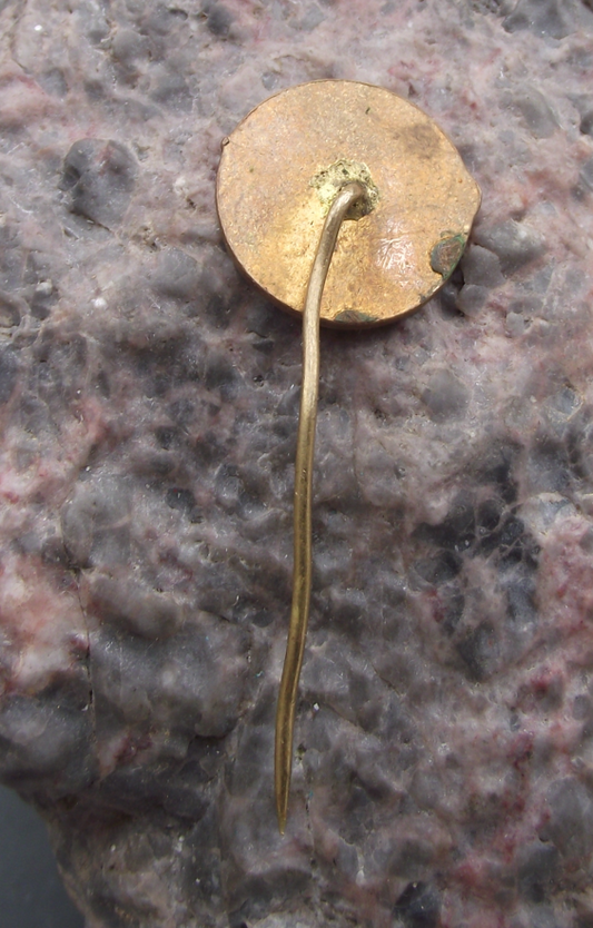 Vintage CSAD Teplice Czech Bus Company Route 410 Pin Badge