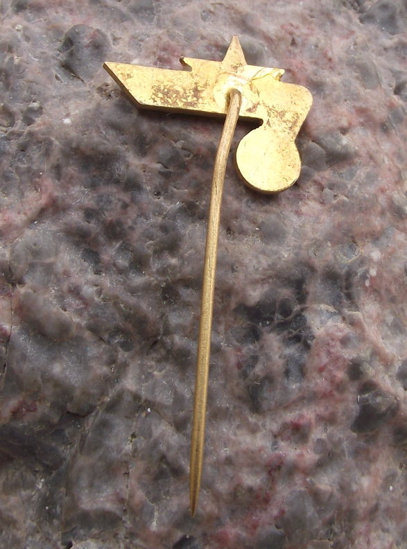 Vintage CSAD Breclav Czech Transport Bus Company Star Logo Pin Badge