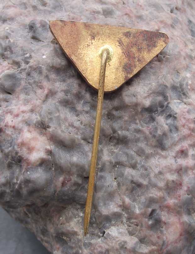 Vintage CSAD Pribram Czech Public Bus Company Pin Badge