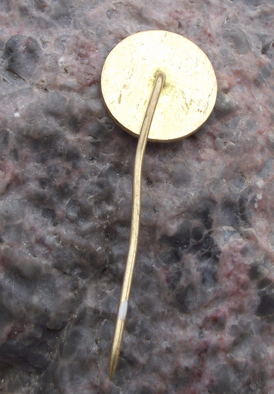 1974 Hradec Kralove CSAD Bus Coach Transport Anniversary Pin Badge