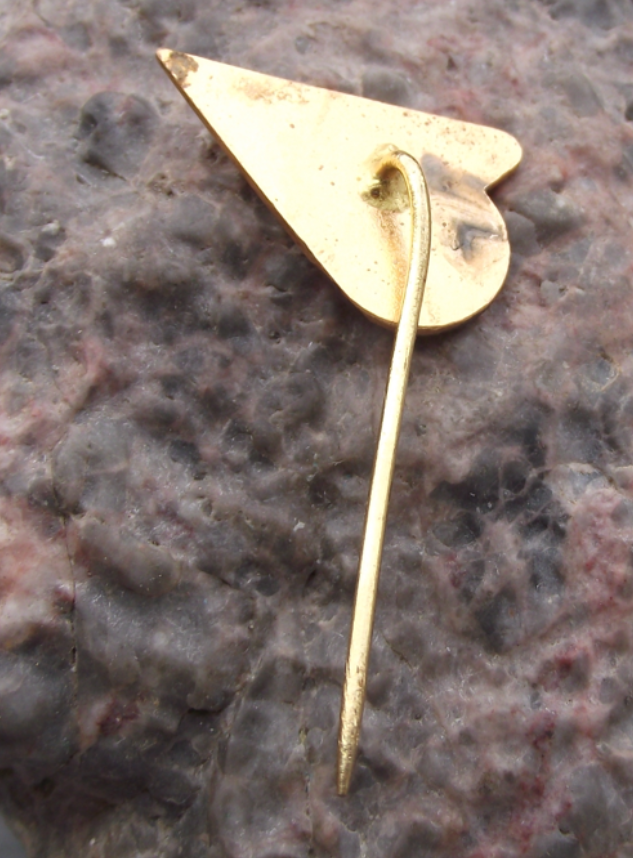 Vintage CSAD Brno N.P. Freight Cargo Transport Truck TIR Lorry Pin Badge