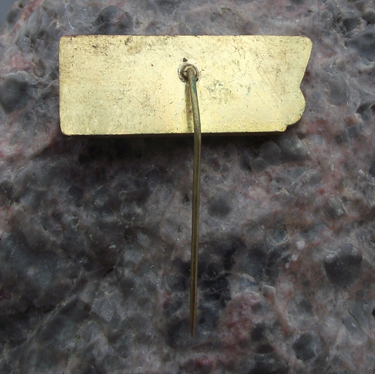 Vintage CSAD Usti nad Labem Route 401 40th Anniversary Bus Pin Badge