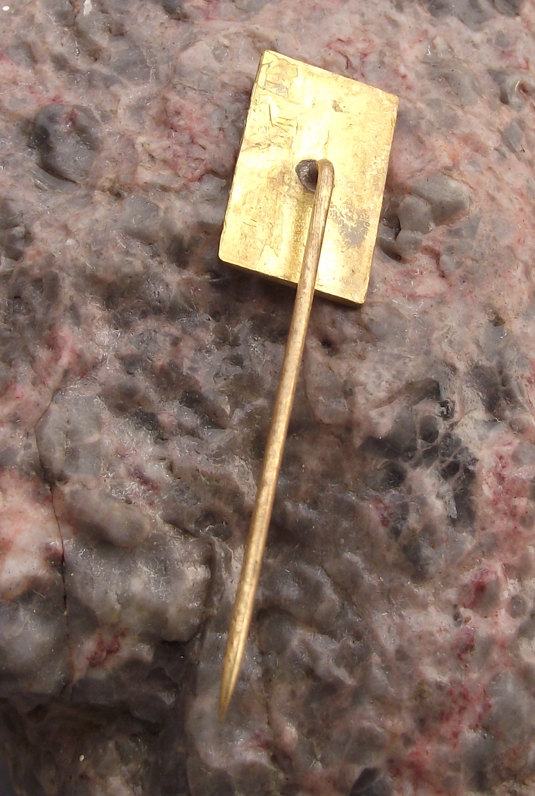 1979 Pardubice World Championship Motorbike Speedway Race Pin Badge