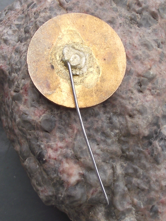 Vintage CSAD Brno N.P. Czech Bus Company Workers Service Award Pin Badge