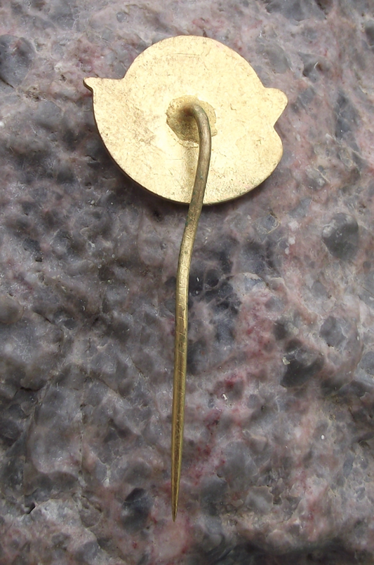 Vintage CSAD Jindrichuv Hradec Rose Icon Bus Company Pin Badge