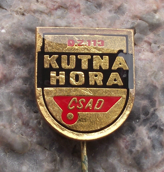Vintage CSAD Kutna Hora Czech Bus Firm Route DZ 113 Pin Badge