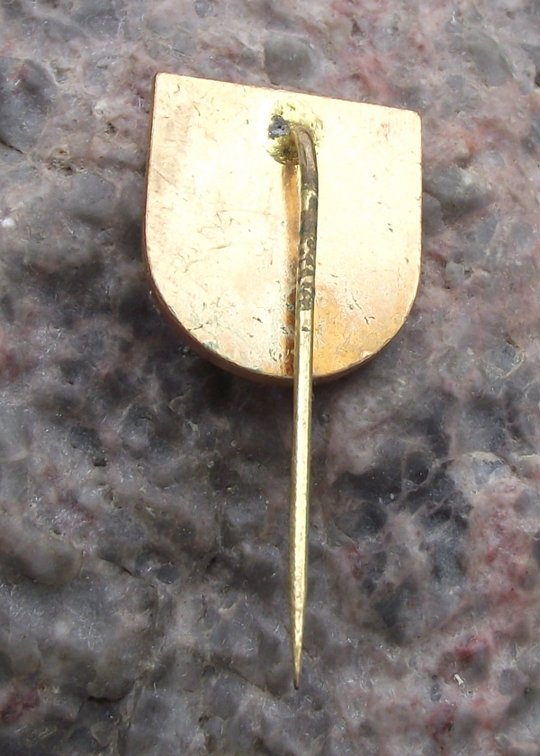 Vintage CSAD Kutna Hora Czech Bus Firm Route DZ 113 Pin Badge