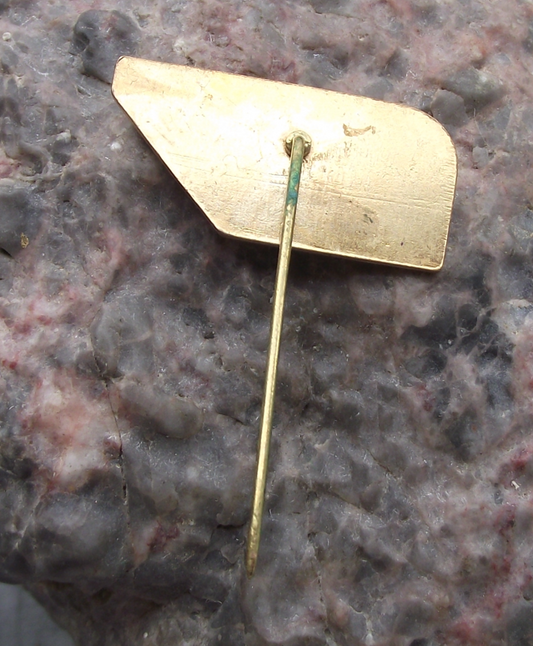 1984 CSAD Kutna Hora Czech Bus Firm 35th Anniversary DZ 113 Pin Badge