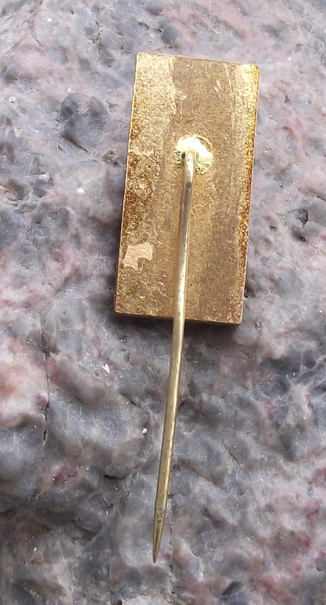 Vintage FIM Logo Grand Prix Brno Chequered Flag Motorbike Racing Pin Badge