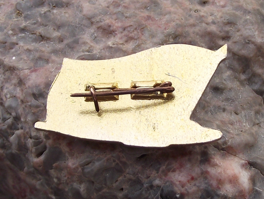 Vintage North Korean Airways Airlines Logo Flag Aircraft Air Koryo Pin Badge