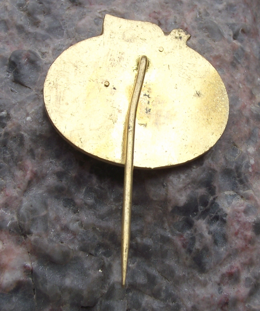 Vintage Dove Peace Paix Mir Frieden International Message Motokov Pin Badge