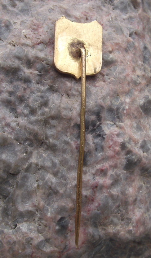 Vintage Svitavy Town Coat of Arms Bull Head Castle Wall Heraldry Pin Badge