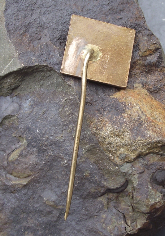 Vintage Dobrošov Jirásek’s Chata Lookout Tower and Lodge Tourist Pin Badge