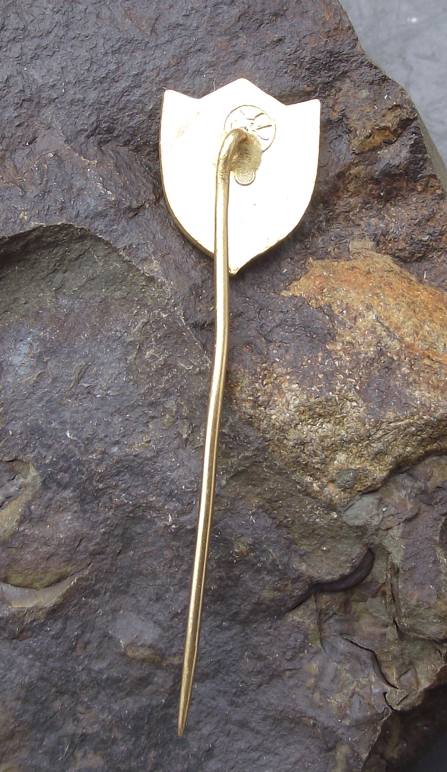 Vintage Frýdek-Místek Heraldic Crest Official Coat of Arms Pin Badge