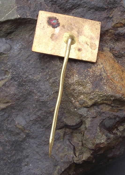 Vintage Červenohorské sedlo Czechoslovakia Ski Climbing Lodge Pin Badge