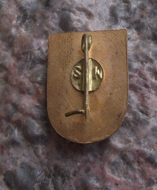 Vintage Romanian Alpine Federation Axe and Compass Logo Members Pin Badge